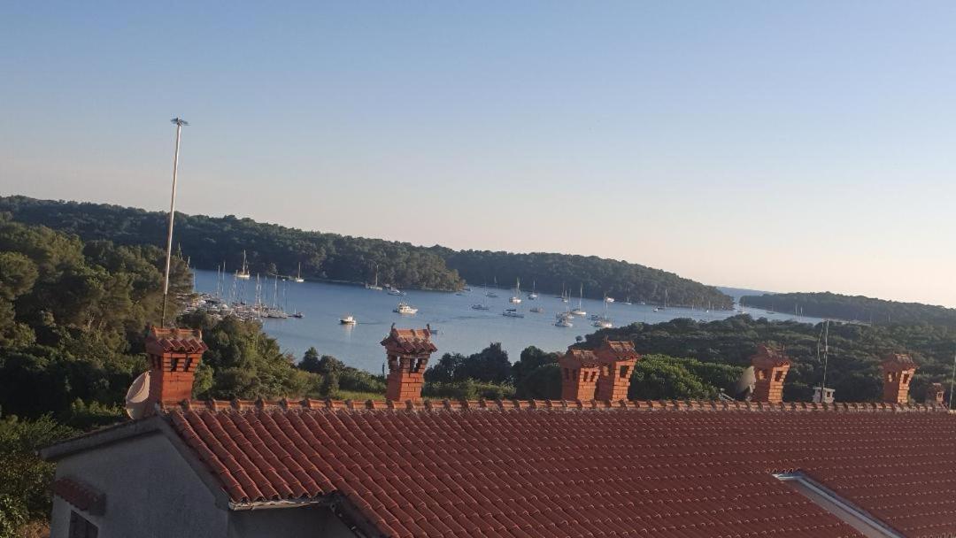 Apartman Milan Vinkuran